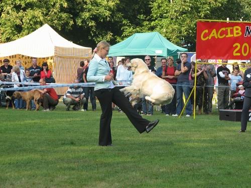 Cacib Maribor 2006: Dogdancing