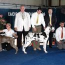 Cacib Portoroz 2006-Res. Best of Day