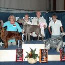 Cacib Portoroz 2006-Best of Group