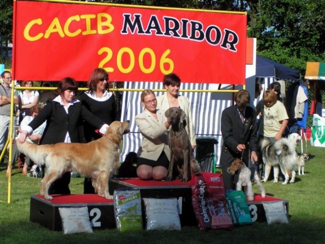 Cacib Maribor 2006: Best Junior Handler