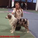 Cacib Zagreb 2006: Way after winning CAC and CACIB twice!