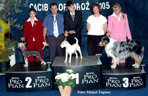 Cacib Portoroz 2005: 3rd place in Junior Handling