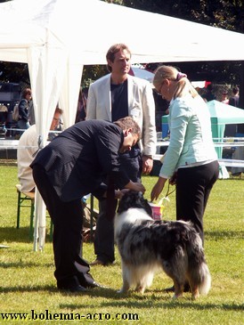 Cacib Maribor 2006: Chip won CAC