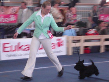 Cacib Vrtojba 2006: Liza running