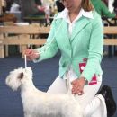 Cacib Vrtojba 2006: Miska winning CAC, CACIB at her first show!