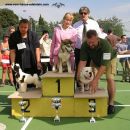 Cac Rovinj 2005: Winning BIS Puppy at his first show!