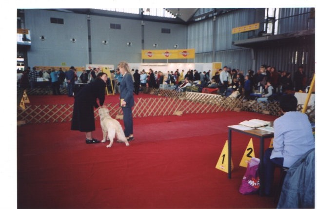 Cacib Ljubljana 2003: Junior handling finalist