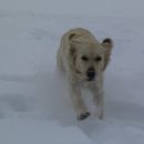 2002: Liza is enjoying the snow