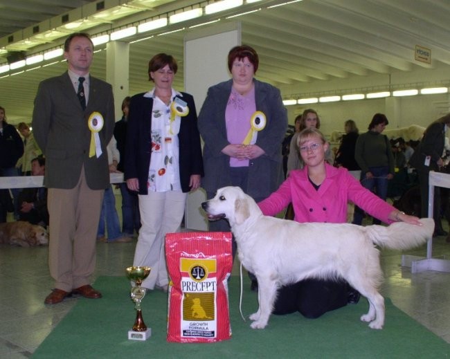 Speciality Retriever Show, Slowakia 2005: Junior BIS