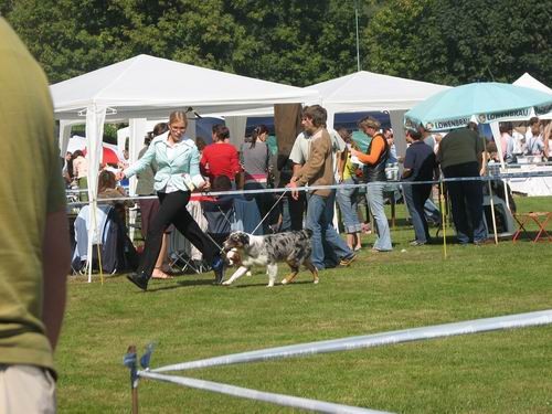 Cacib Maribor 2006: Berry in movement 