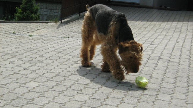 Junij - foto povečava