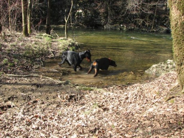 Uma&Princ-Rakov_Škocjan - foto