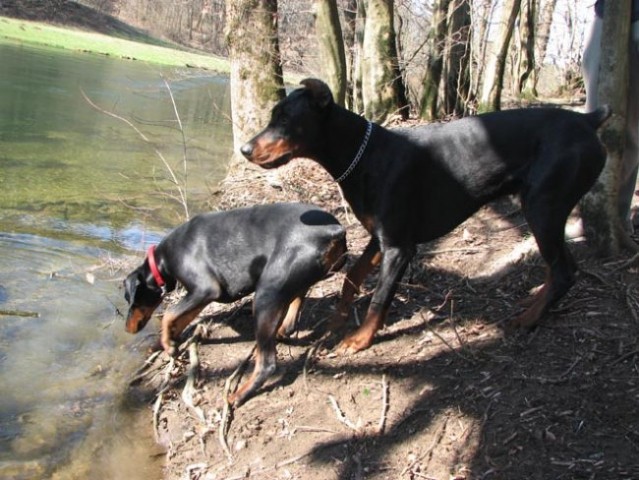 Uma&Princ-Rakov_Škocjan - foto