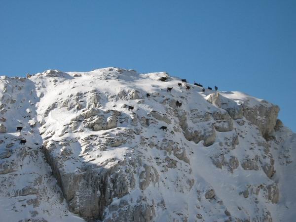 Turska gora 15 decembra 2006 - foto povečava