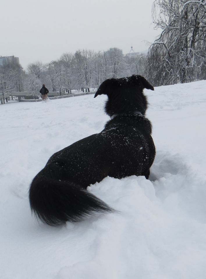 Januar - Februar 2016 - foto povečava