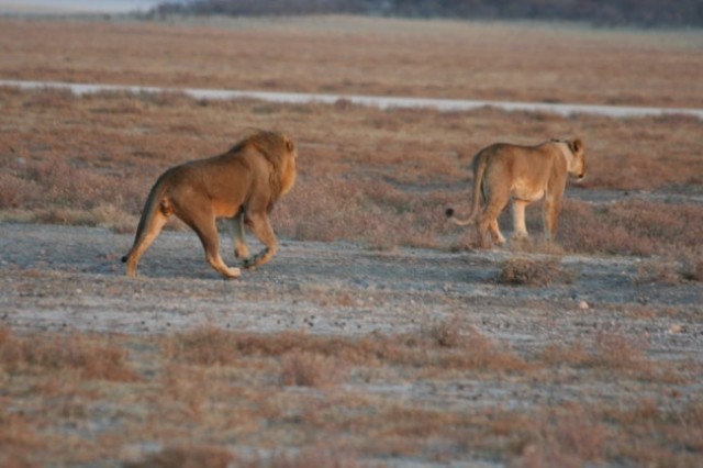 Namibija 2006 - foto
