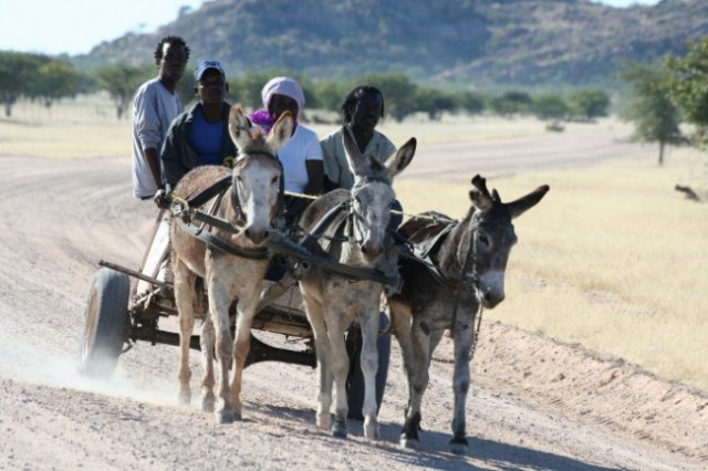 Namibija 2006 - foto