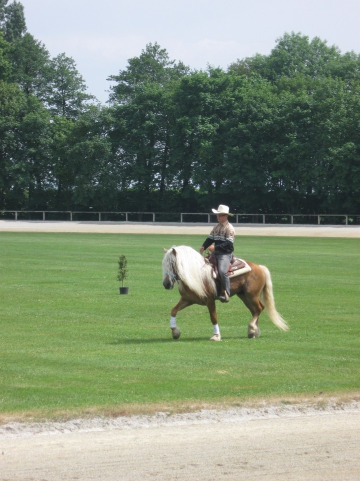 Brdo 2009 - foto povečava