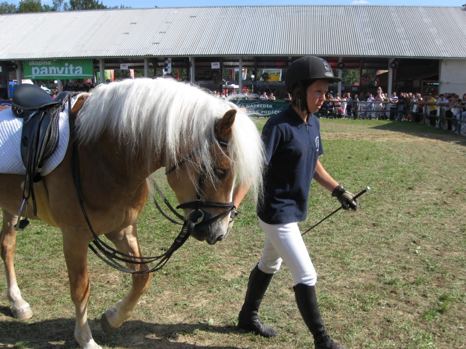 Radgona 2009 - foto povečava