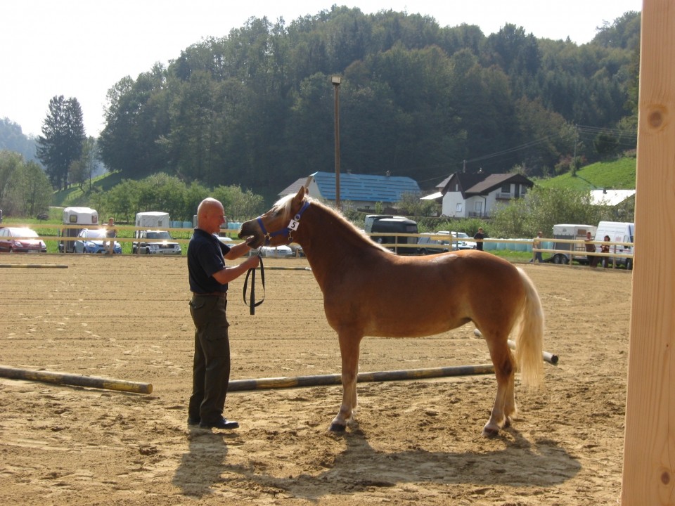 Državna razstava 2009 - foto povečava