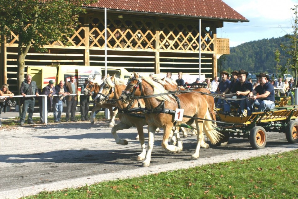 Državna tekma dvovpreg IG - foto povečava