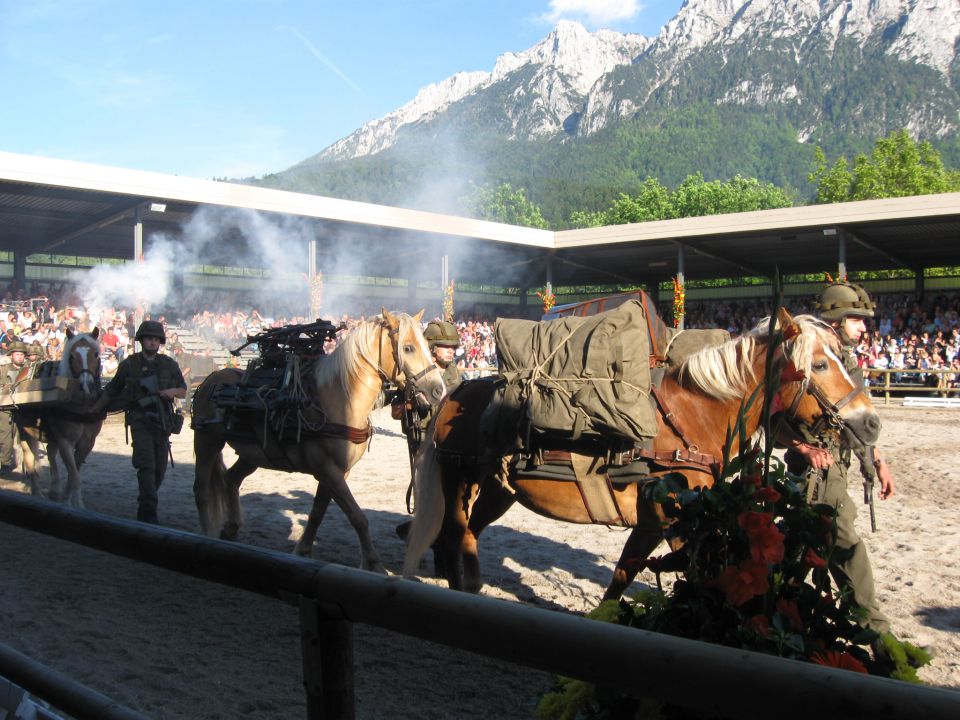 Avstrijska gorska enota