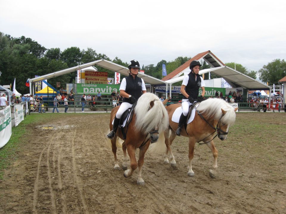 Radgona 2010 - foto povečava