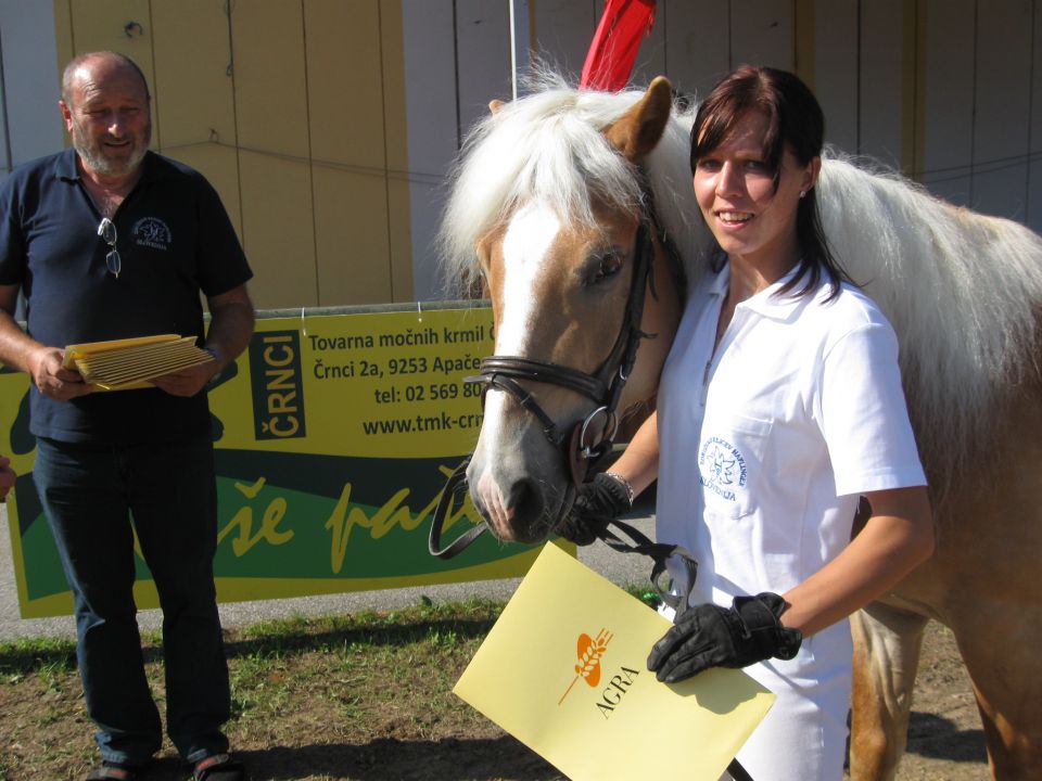 Radgona 2010 - foto povečava