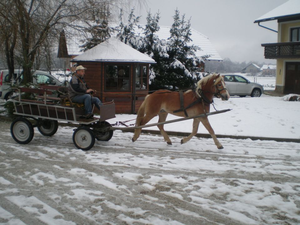 Delovna sposobnost 2012 - foto povečava