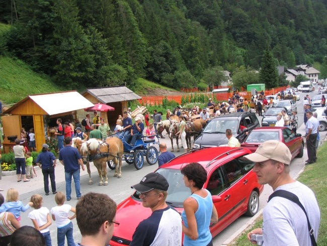 Haflingerji mad množico v Solčavi