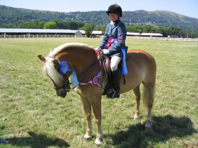 Kongres World Haflinger Federation 2006 - foto