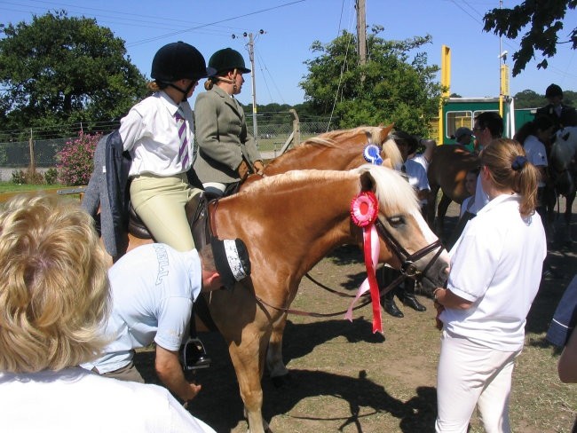 Kongres World Haflinger Federation 2006 - foto povečava