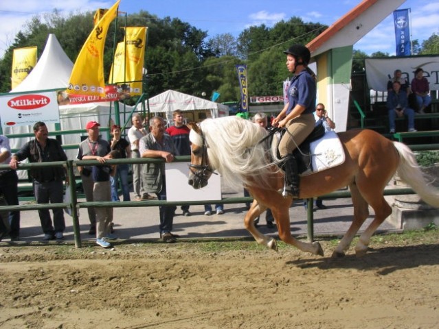 Sejem v Radgoni 2006 - foto