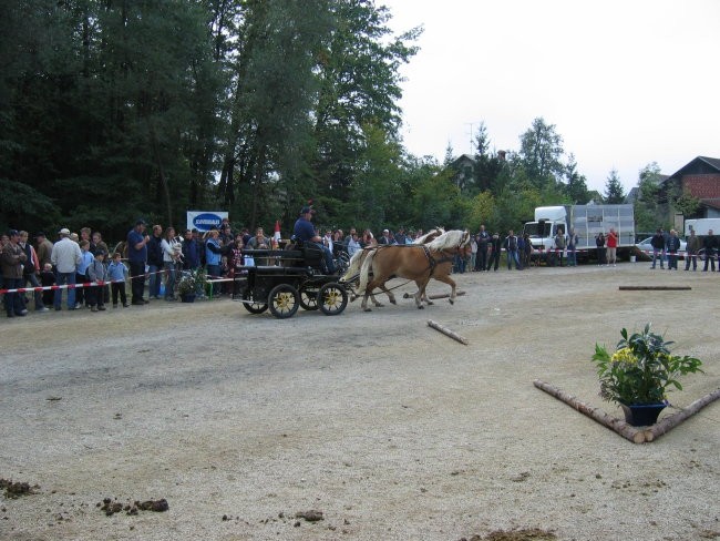 Komenda 2006 - foto povečava