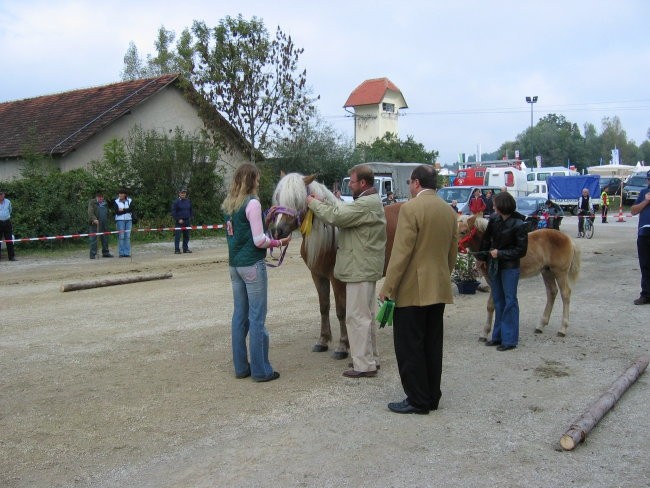 Komenda 2006 - foto povečava