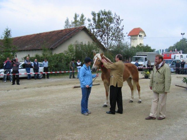 Komenda 2006 - foto