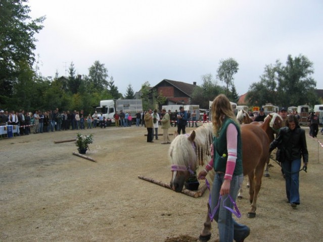 Komenda 2006 - foto