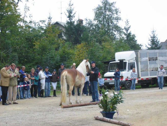 Komenda 2006 - foto povečava