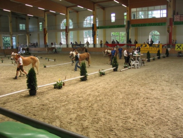 Kongres v Stadl Paura 2007 - foto