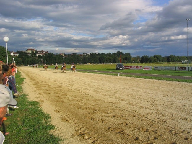 Galopske dirke Lenart 2007 - foto povečava