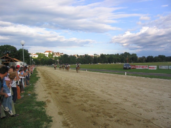 Galopske dirke Lenart 2007 - foto povečava