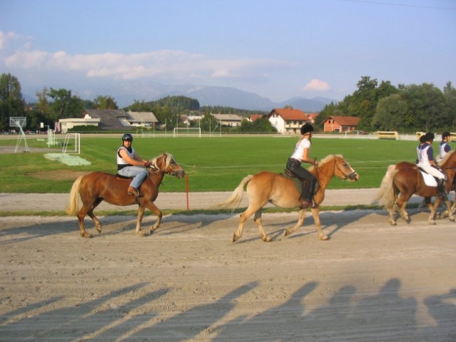 Galopske dirke Komenda 2007 - foto