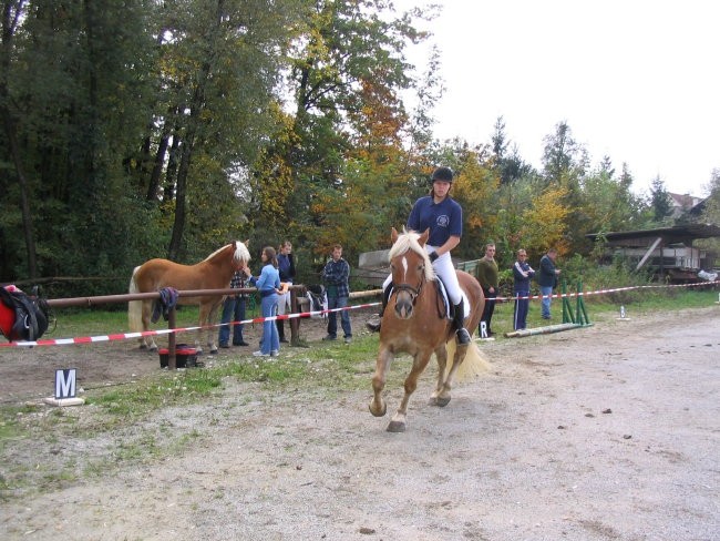 Delovna sposobnost Komenda 2007 - foto povečava