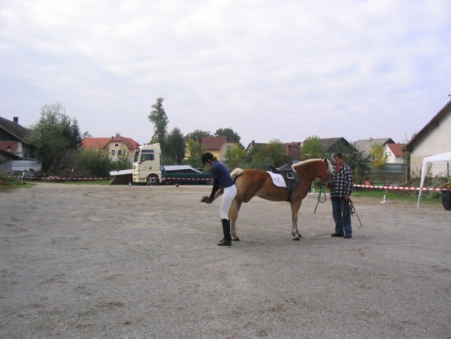 Delovna sposobnost Komenda 2007 - foto povečava