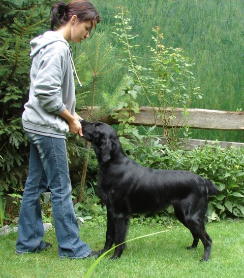 9.7.2009 / RonRaj Common Sense (GAJA), 15 months