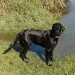 at the lake
