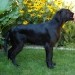 Asha - learnig to show herself