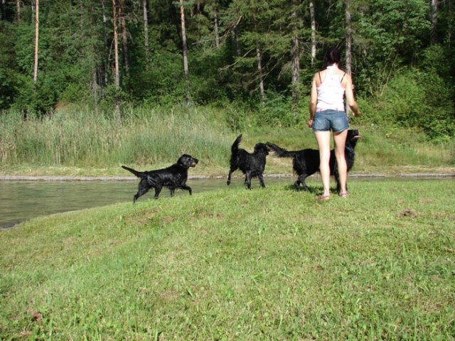 26.7.2009 / s tremi
