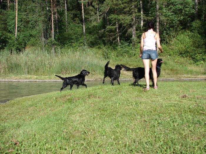 26.7.2009 / s tremi