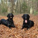 Pia & Rona in autumn colours